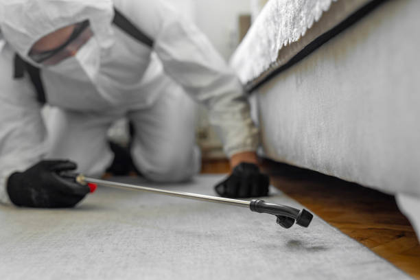 Professional Bed Bug Control technician working in Barnesville, OH