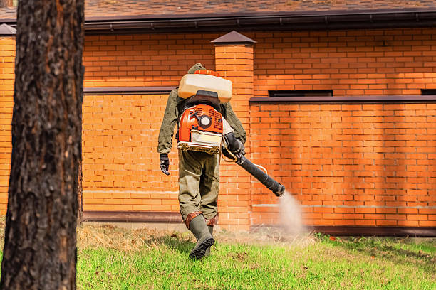 Top rated local Bed Bug Control specialists in Barnesville, OH